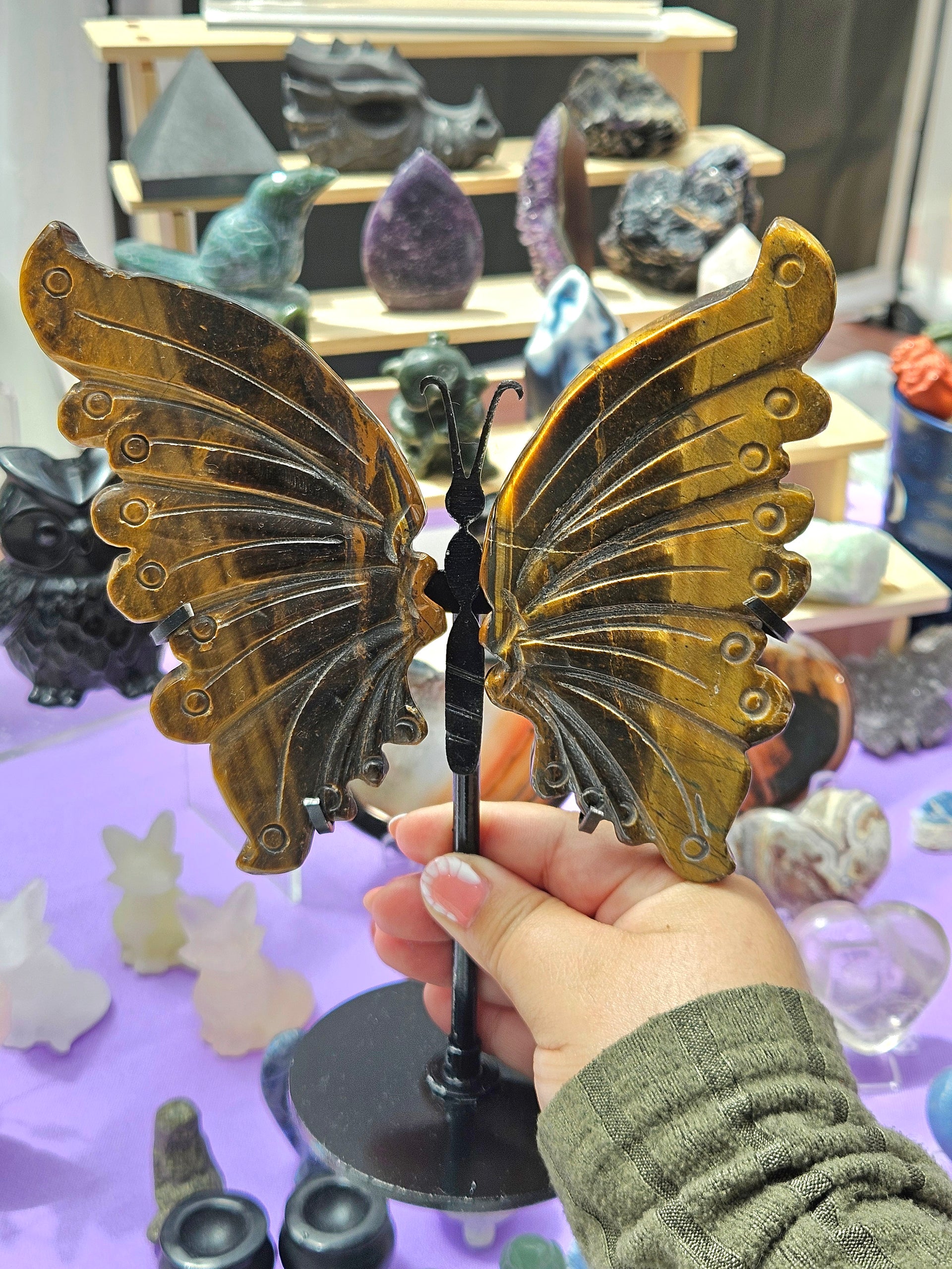 Mariposa de Ojo de Tigre