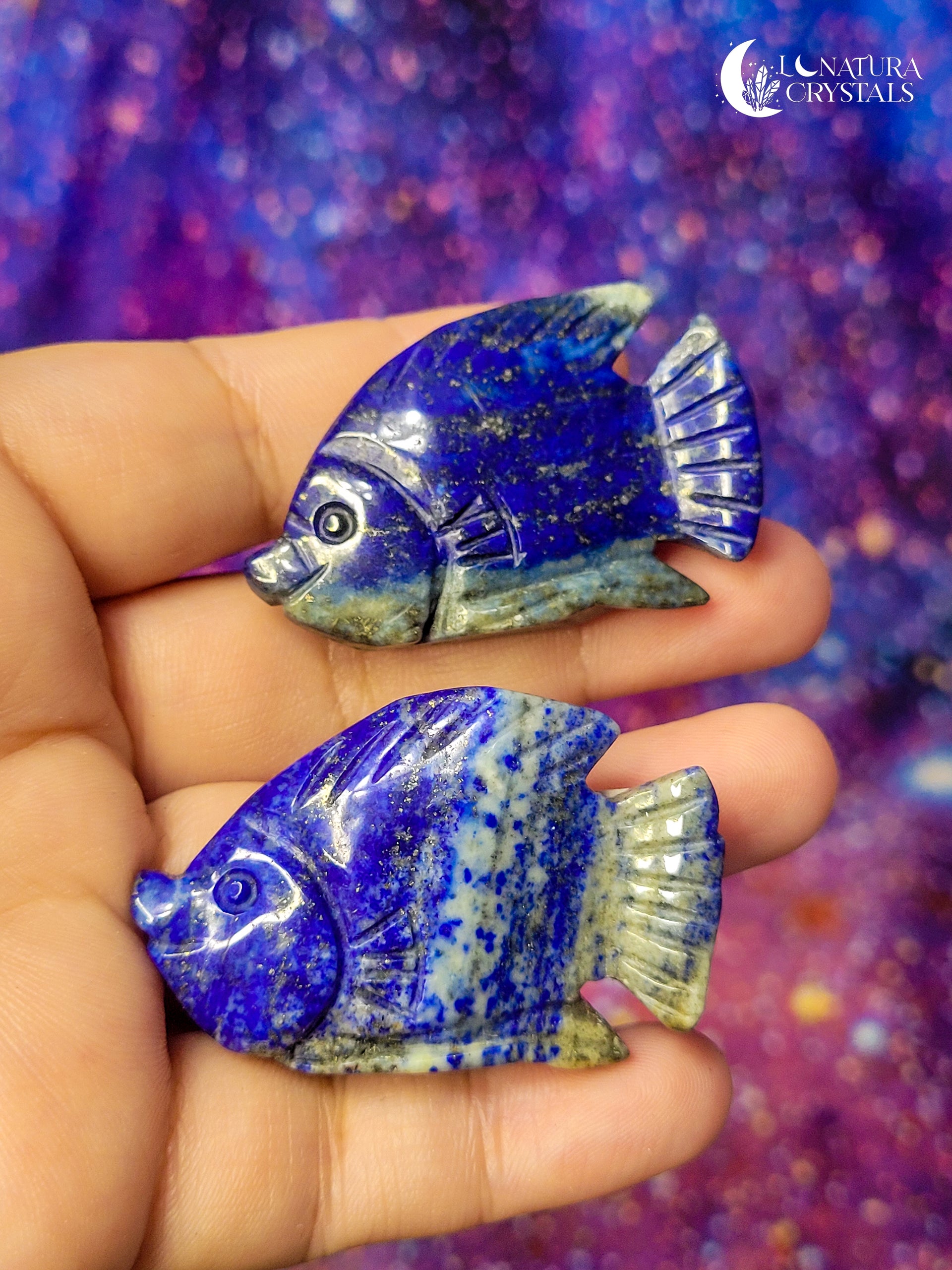 Lapis Lazuli Fish (1.7