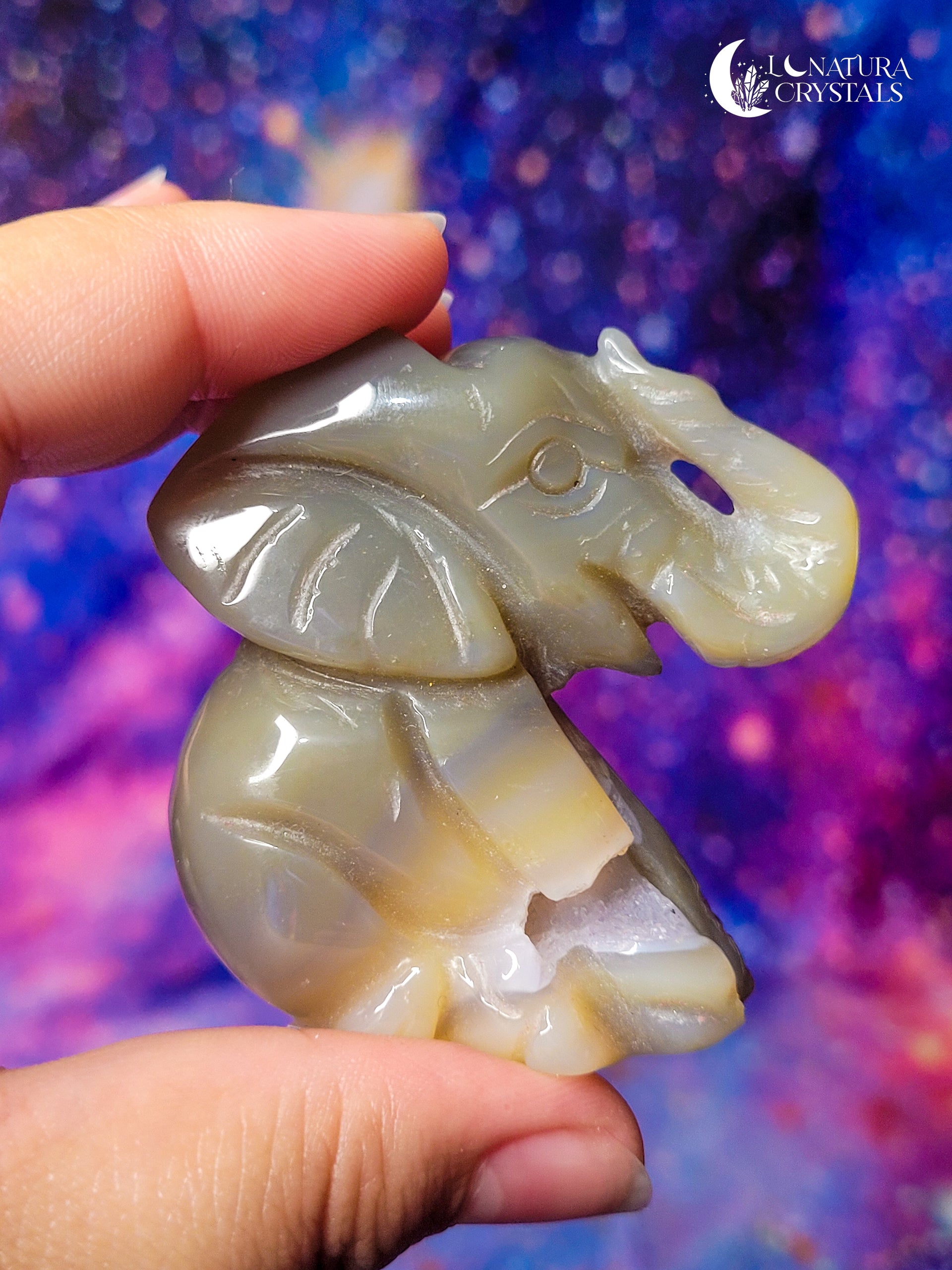 Elephant Agate Carving (PICK YOUR FAVORITE)