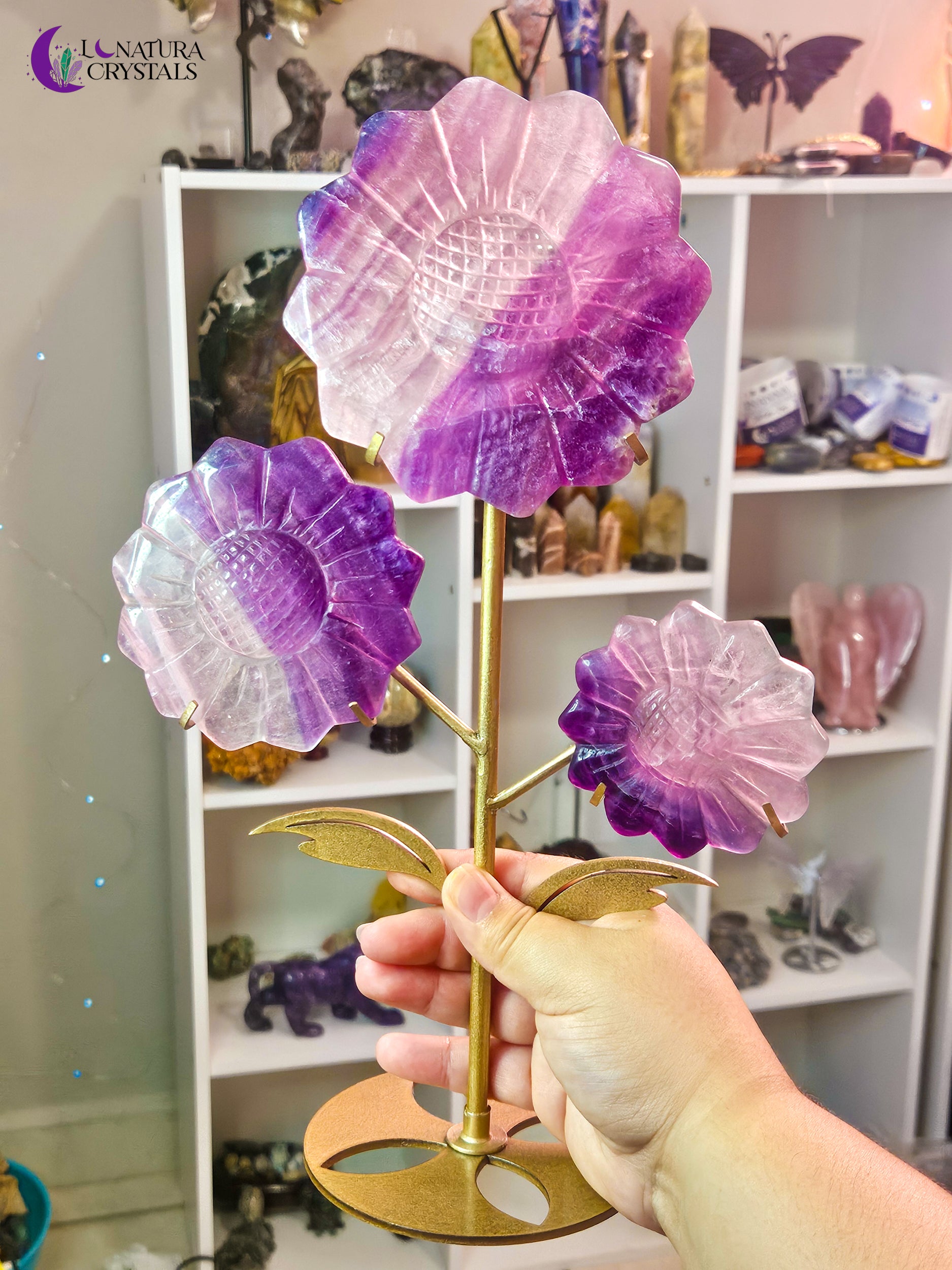 Large Fluorite Sunflowers with Stand