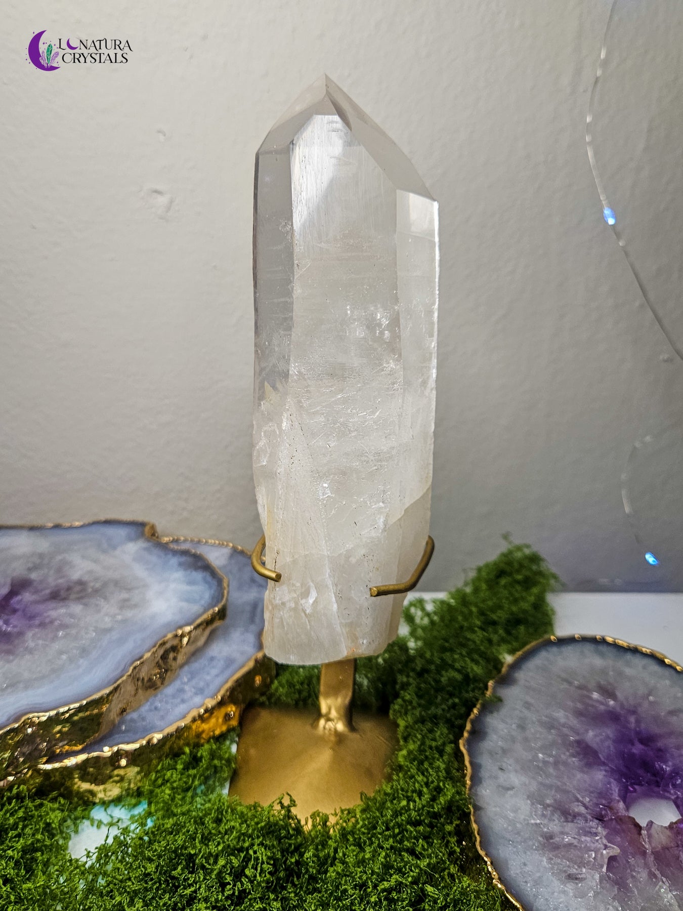 Large Lemurian Seed Quartz with Stand