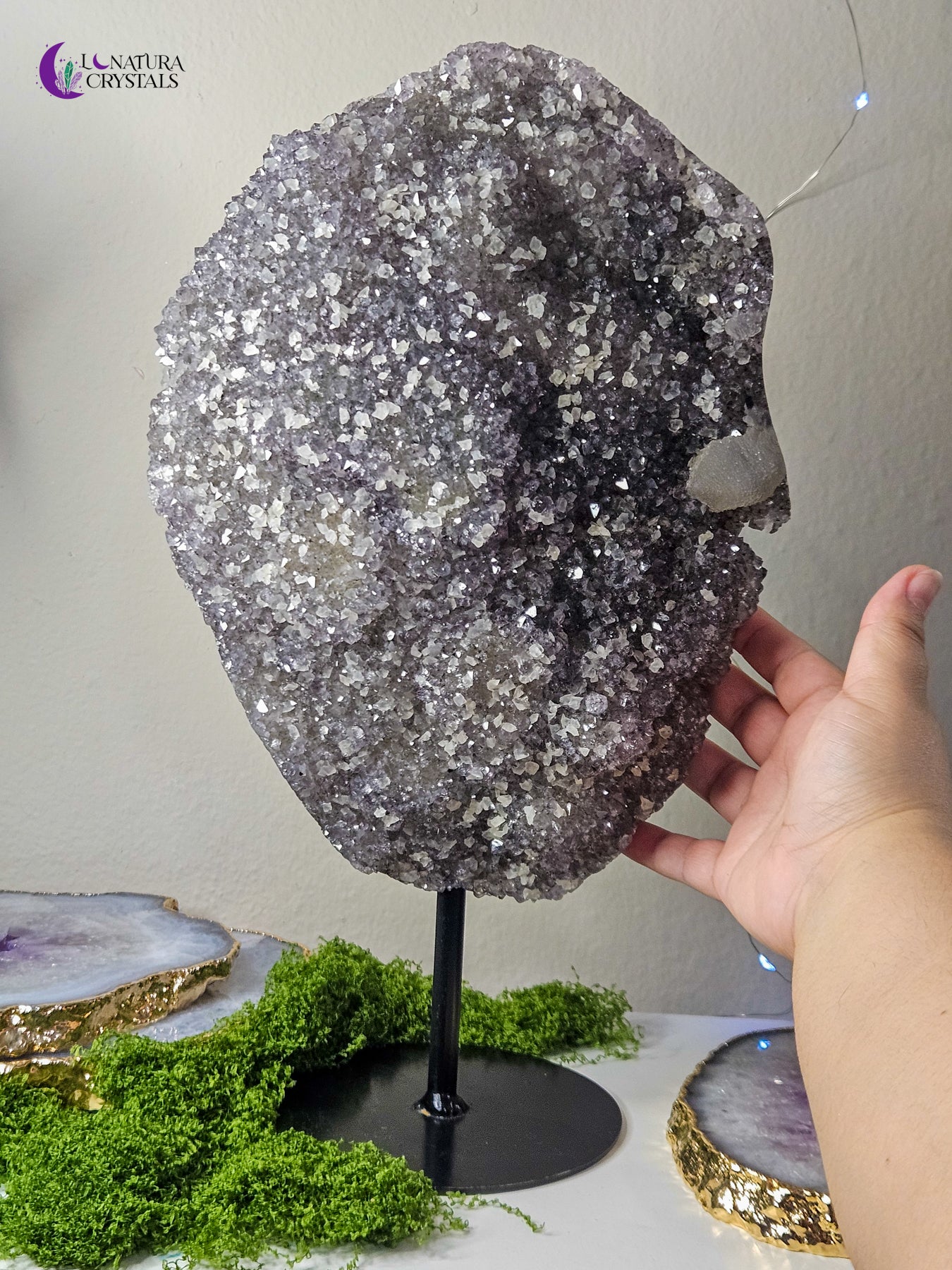 Large Black Amethyst in Stand (12lb)