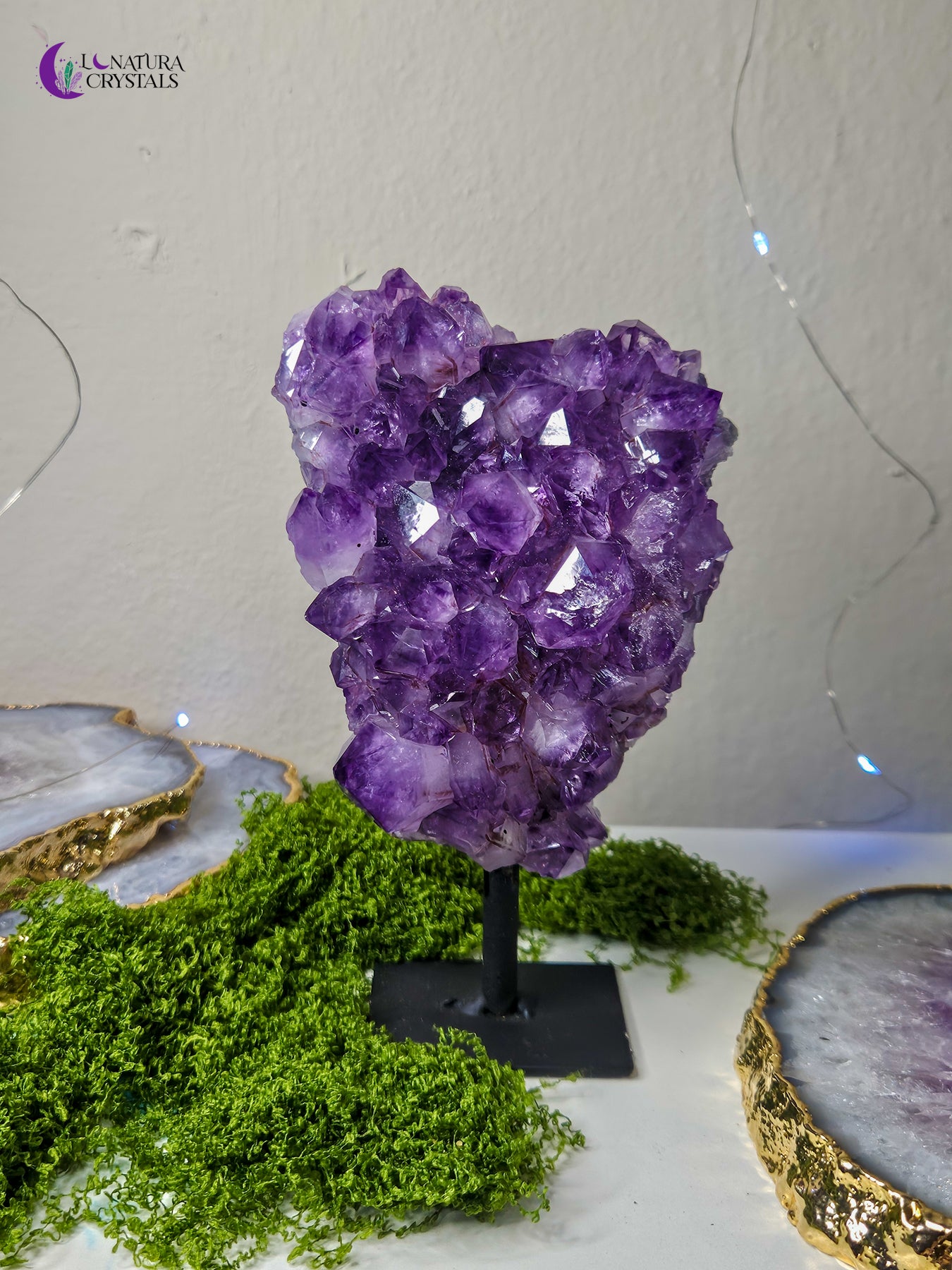 Amethyst in Stand #2