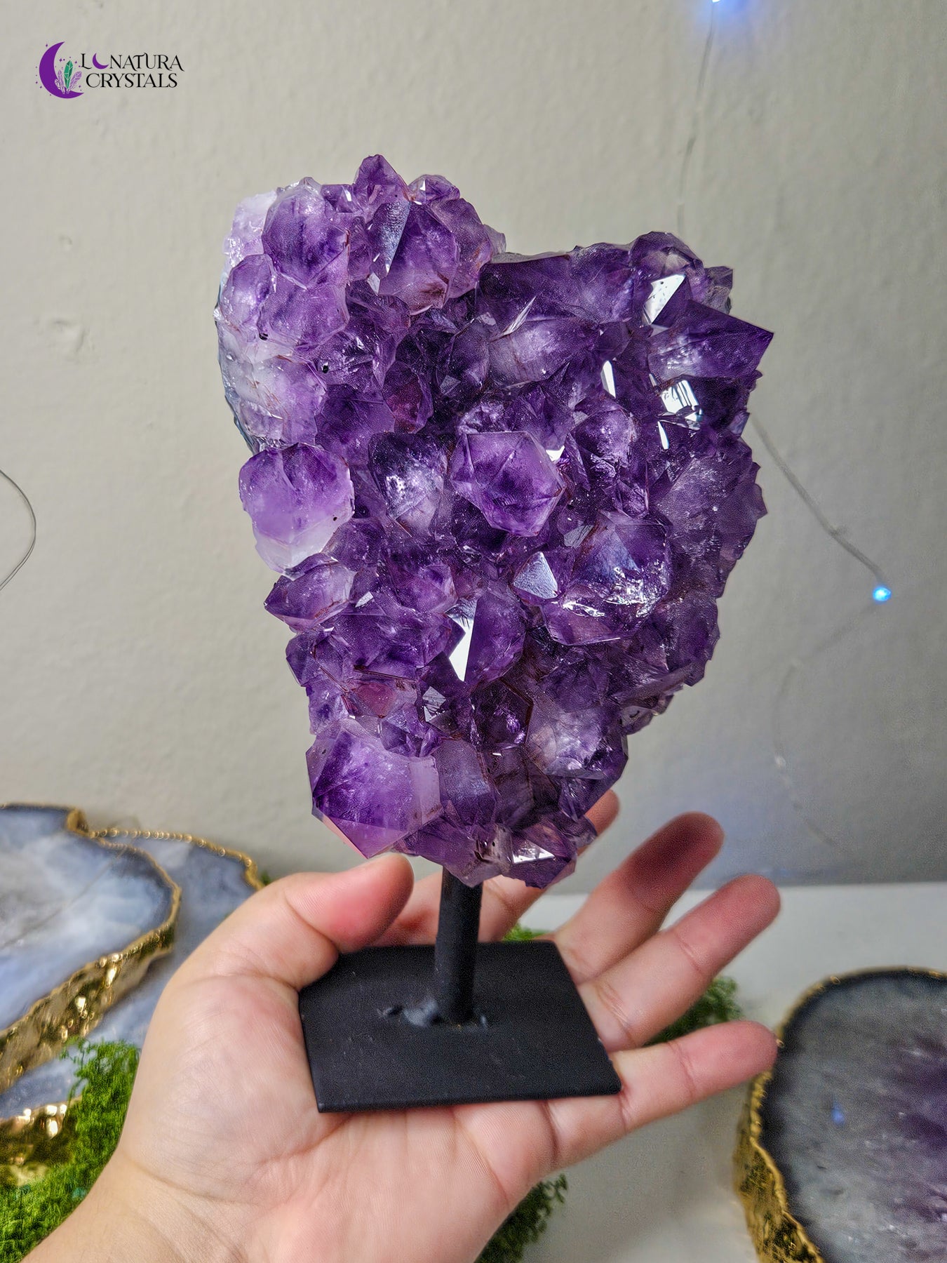 Amethyst in Stand #2