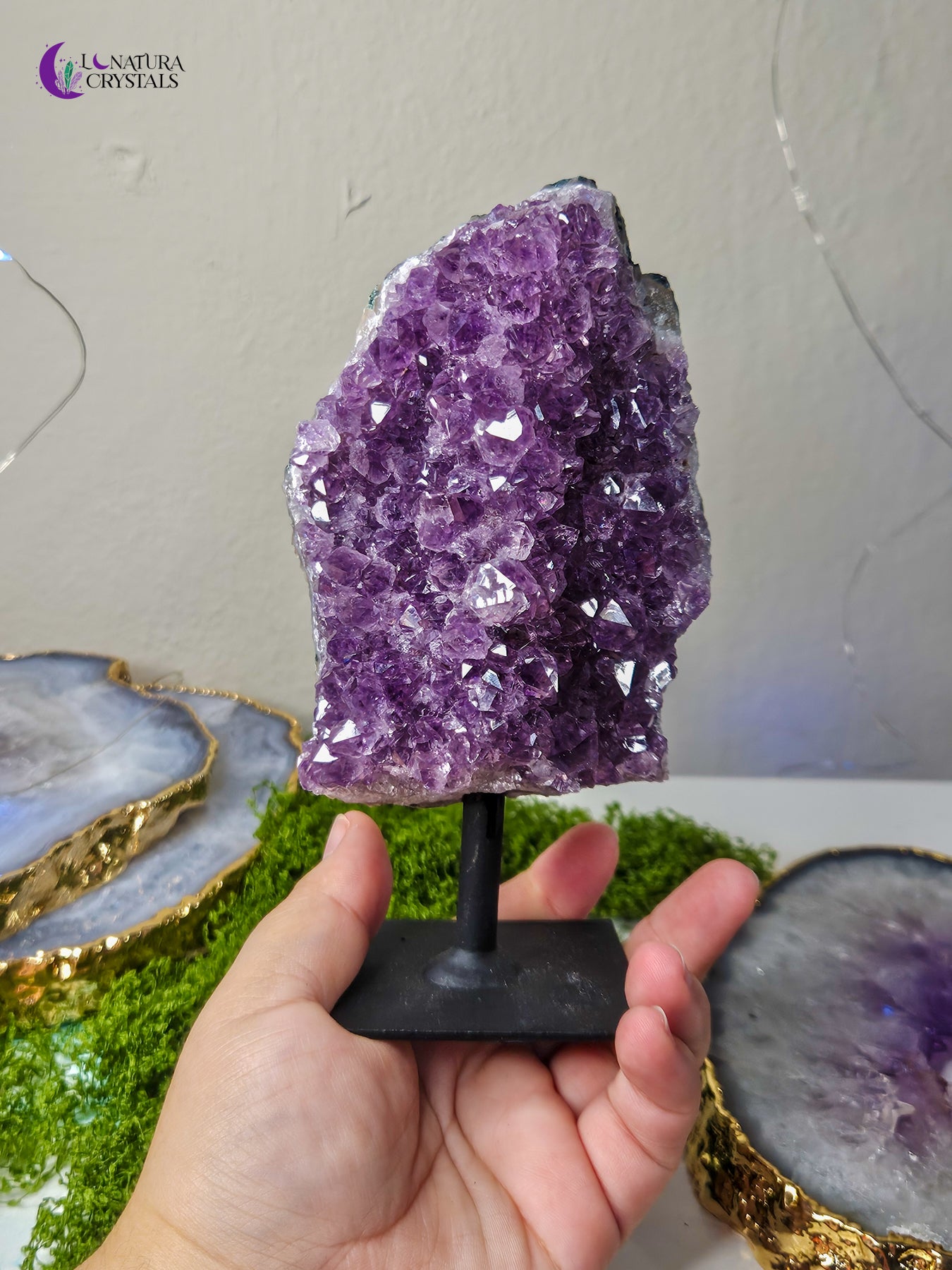 Amethyst in Stand #1