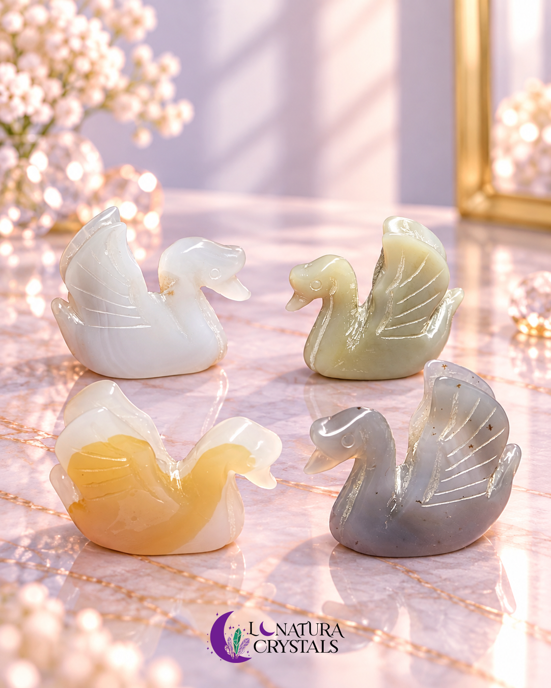 Cisne de Agata 2"