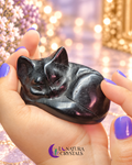 Gato de Obsidiana 3"