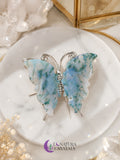 Mariposa Agata Musgosa (Escogida Aleatoriamente)