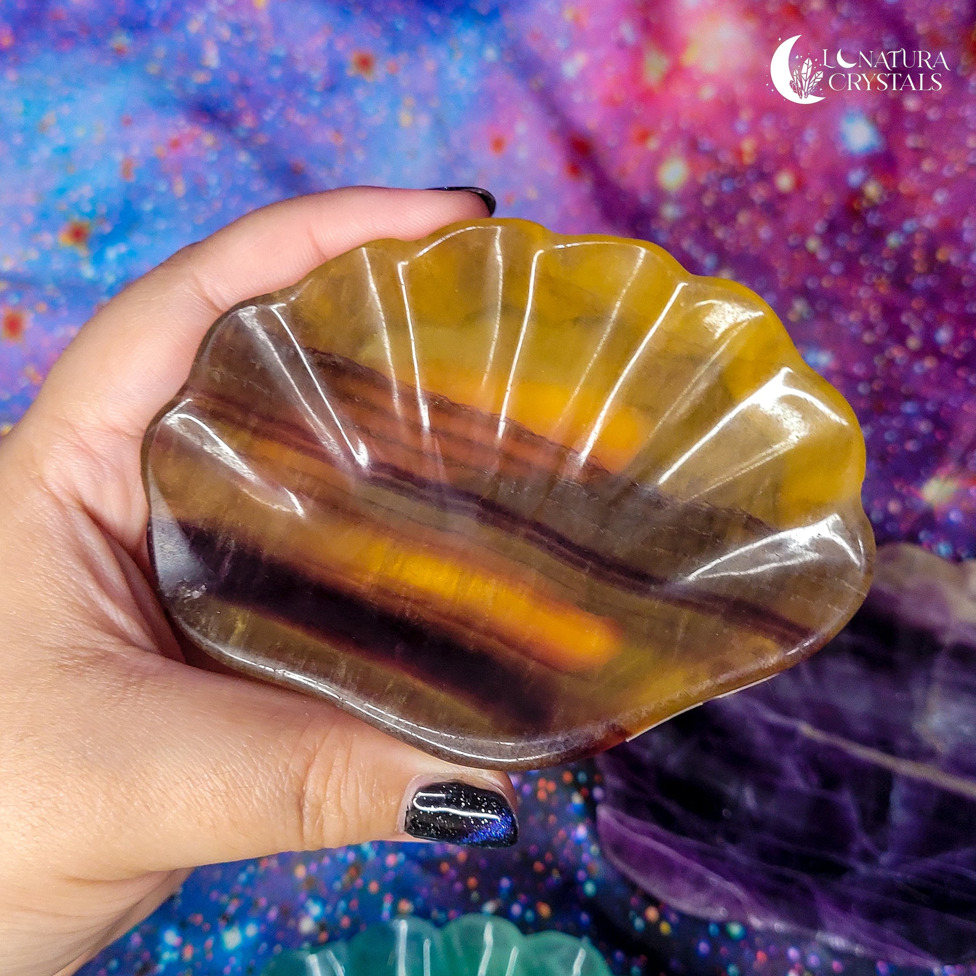 Fluorite Shell Bowl (CHOOSE YOUR OWN)