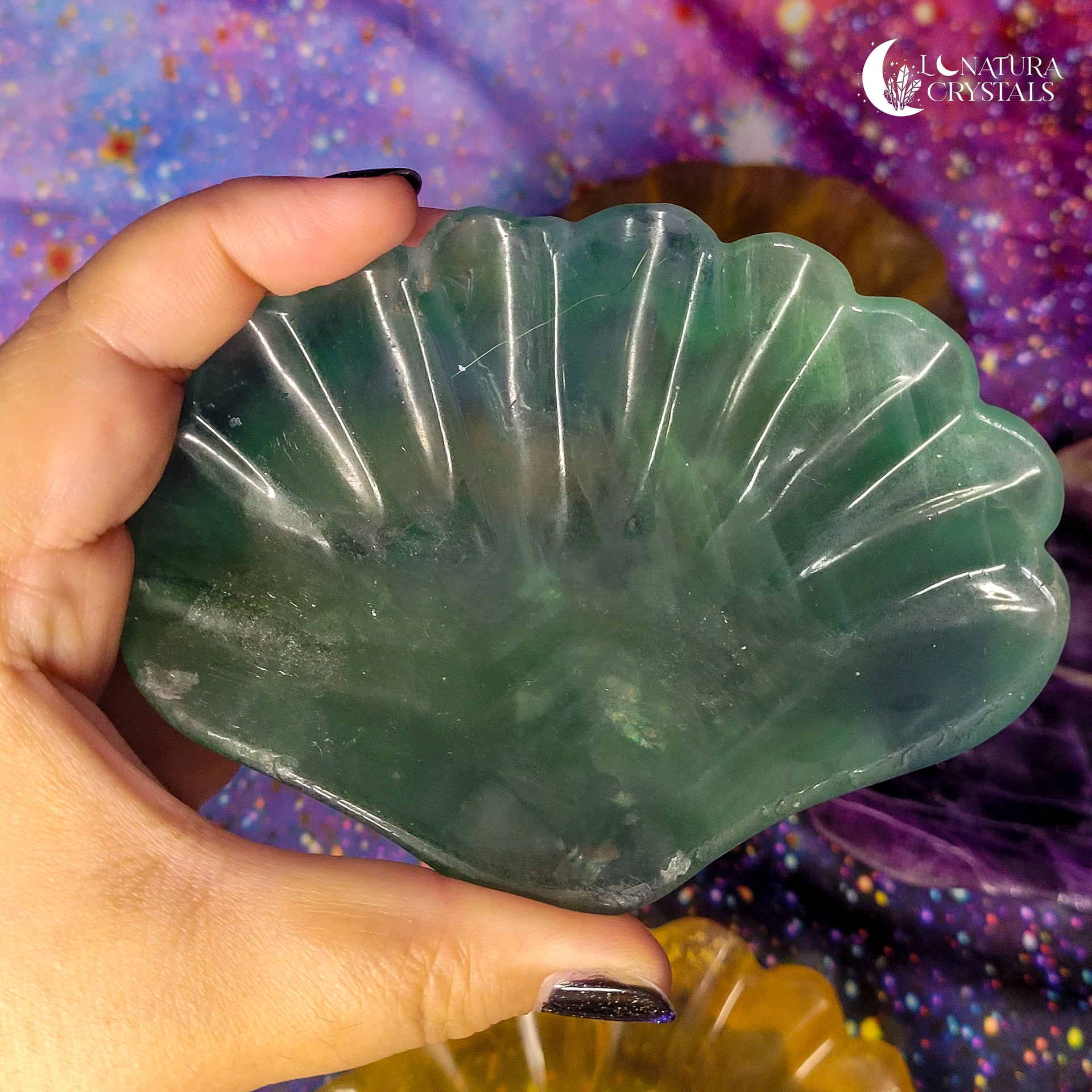 Fluorite Shell Bowl (CHOOSE YOUR OWN)